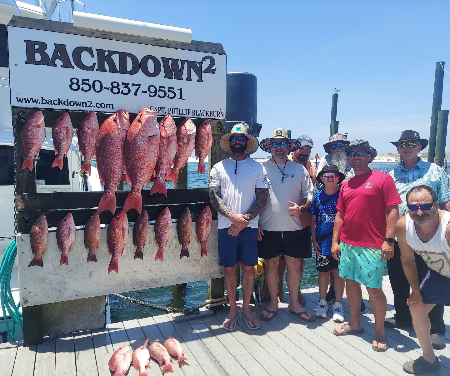 A group of 12 Guadalupe Bass, a popular freshwater fish found in Florida.