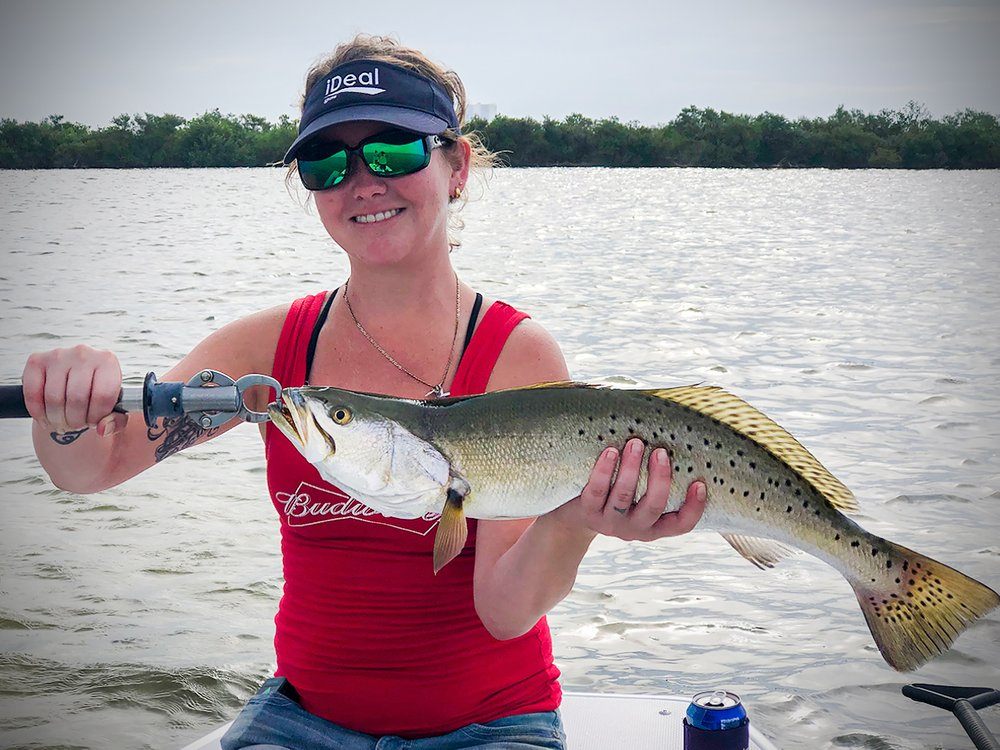 Spotted Weakfish, 22 inches, caught in FL