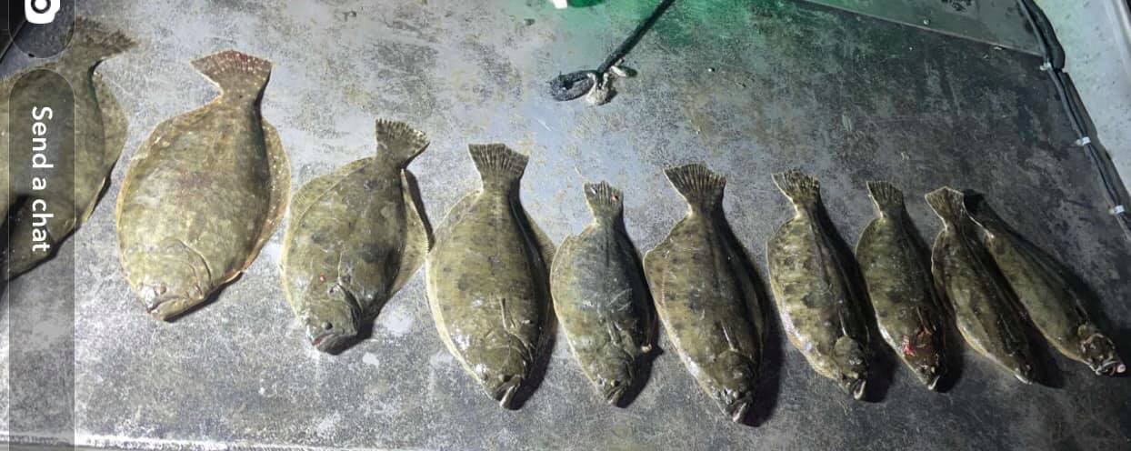 7 summer flounder and tripletail fish caught in TX