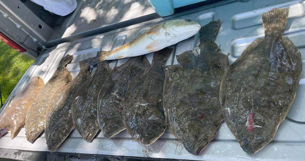 3 fish caught in TX