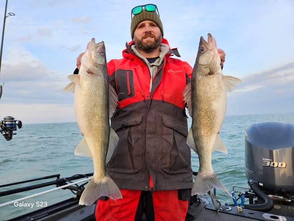 Two walleye caught while fishing in Vermilion OH displayed on boat deck