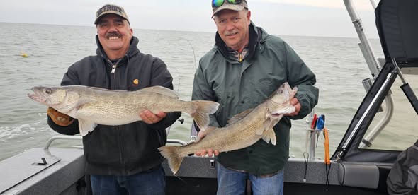 Two walleye caught while fishing in Vermilion OH displayed on boat deck