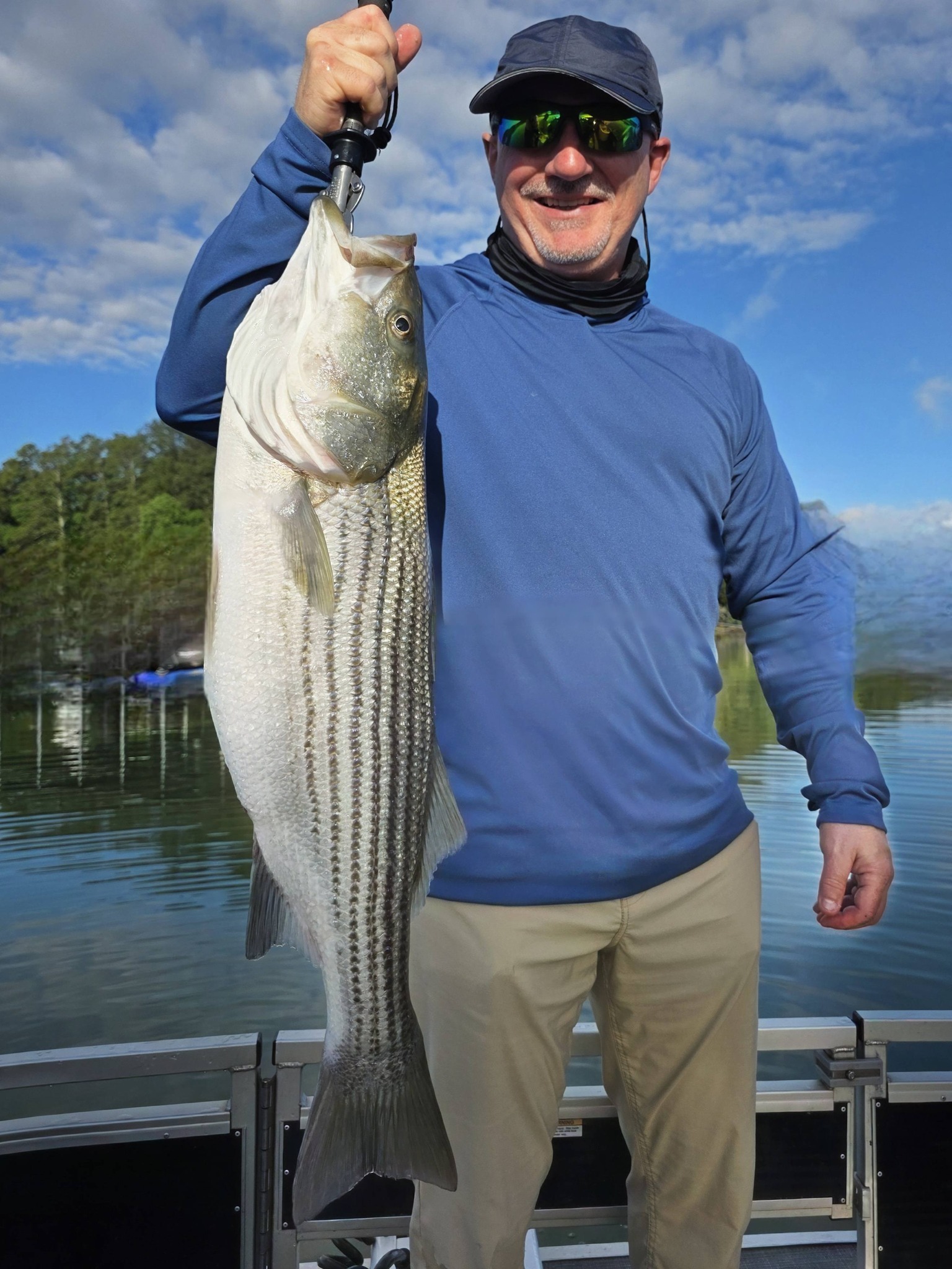 Striped bass catch displayed on fishing boat in Acworth GA