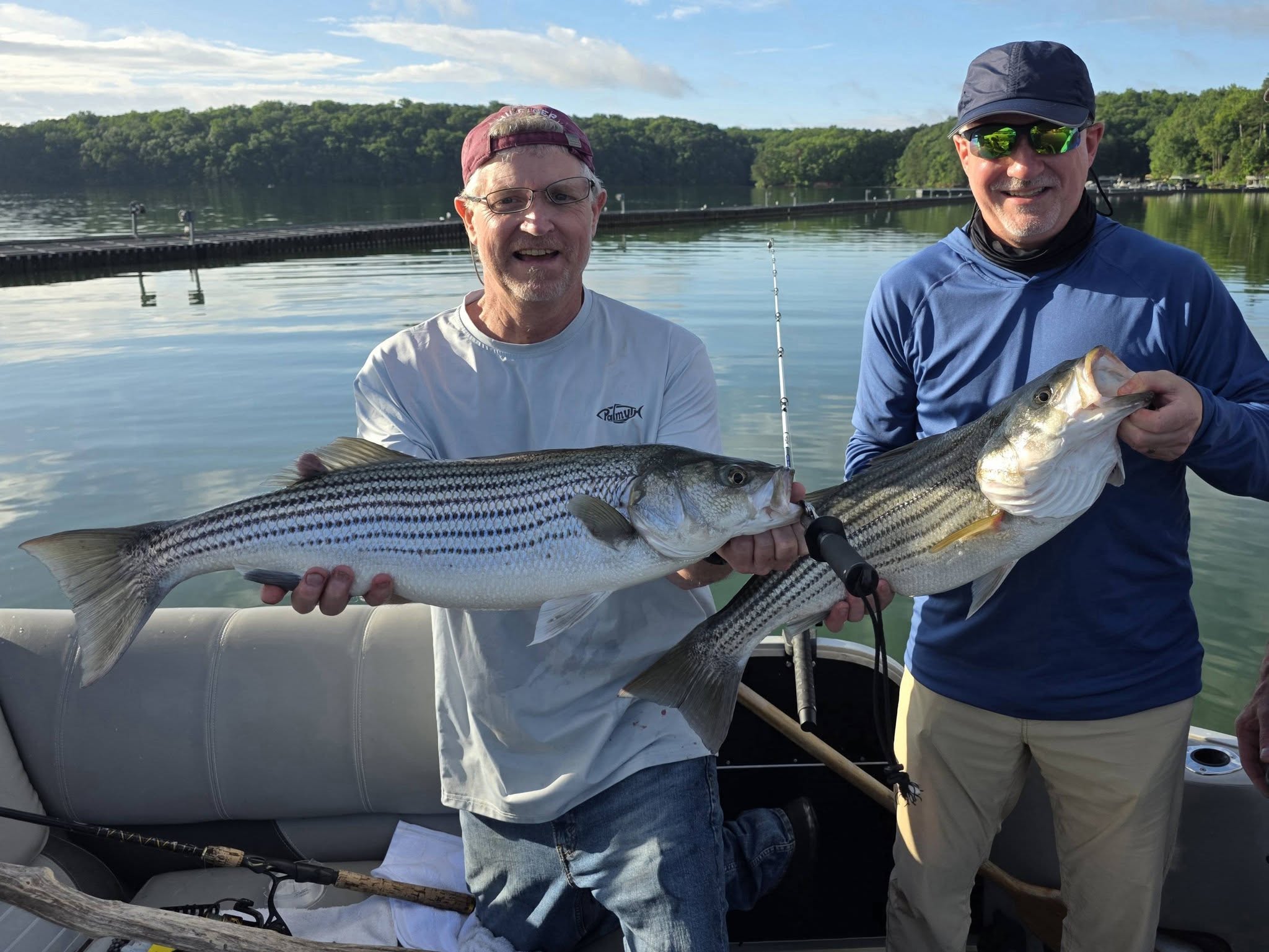 Two striped bass caught fishing in Acworth GA displayed on boat
