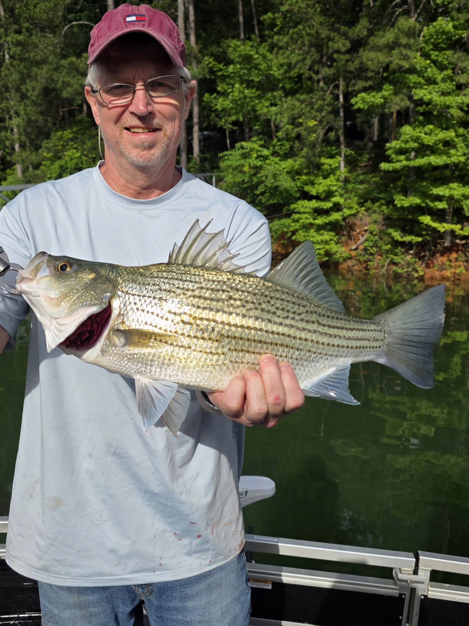 Angler holding freshly caught striped bass on boat in Acworth GA