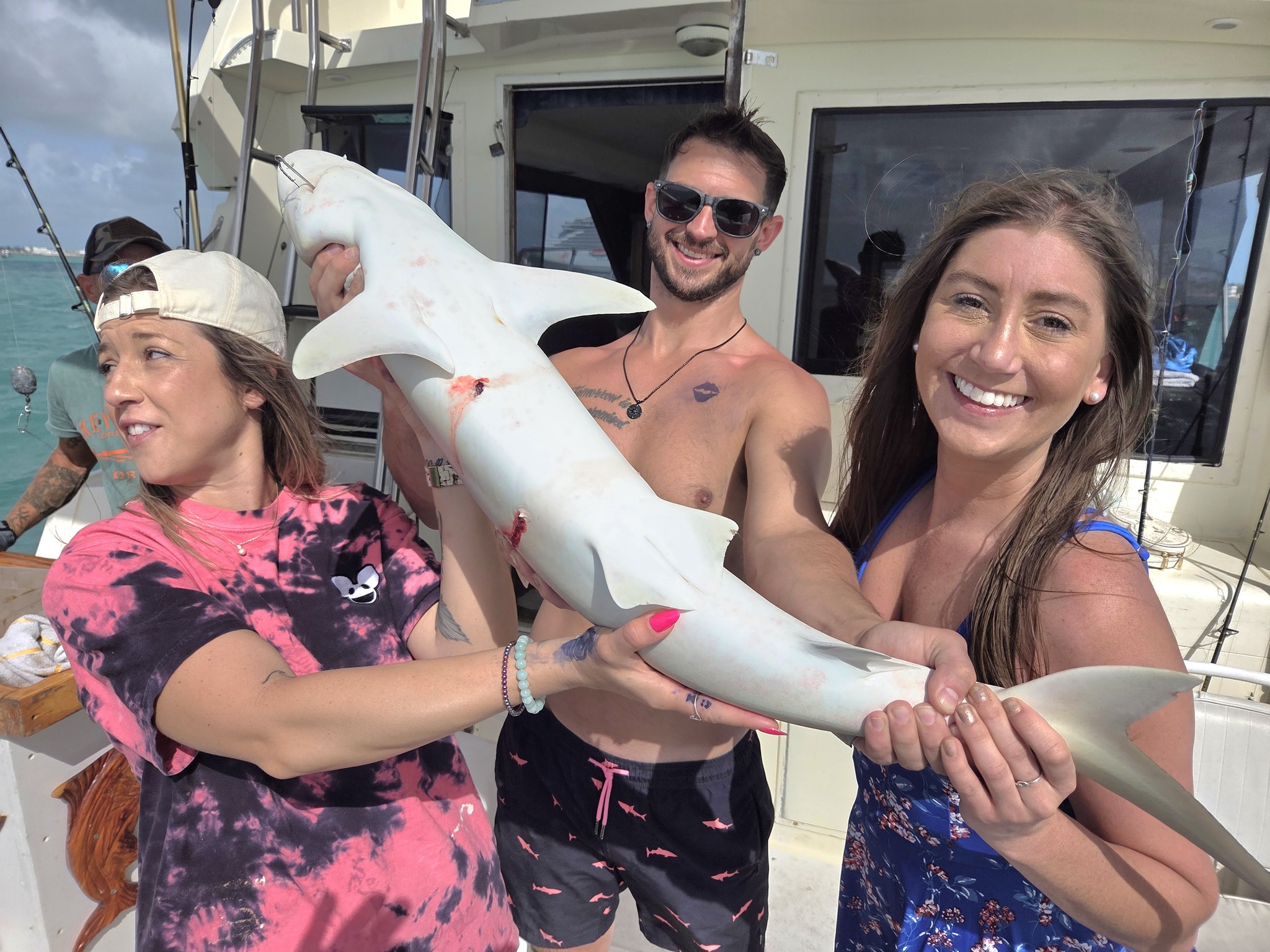 Small shark catch displayed on fishing boat deck in Key West FL