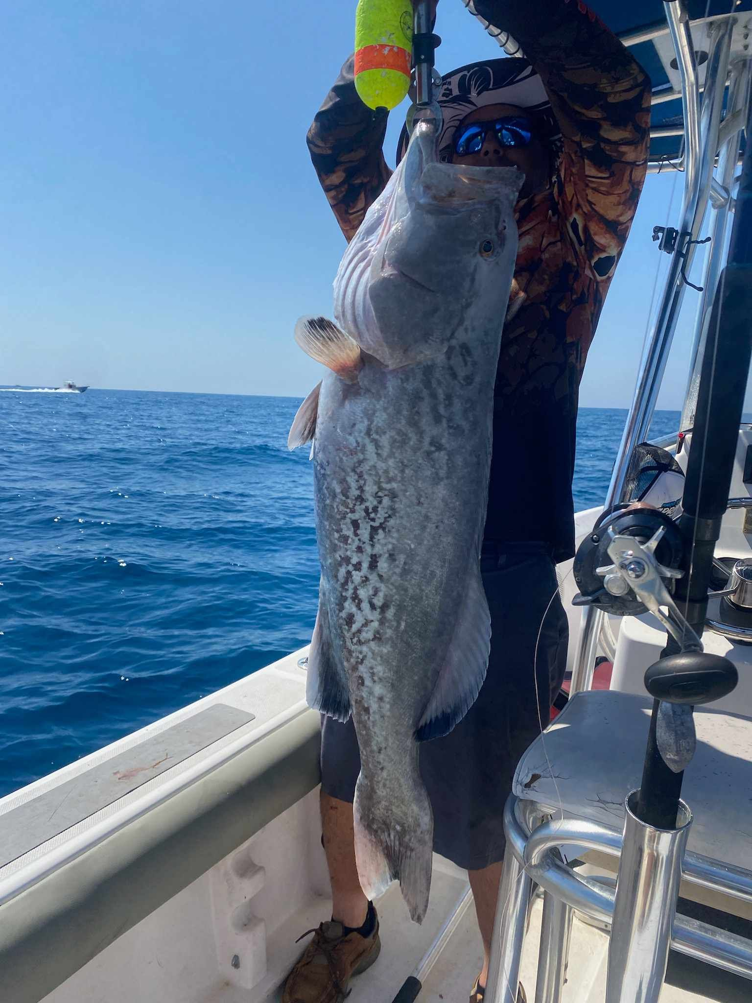 Gag Grouper, a 40-inch fish, caught while fishing in FL