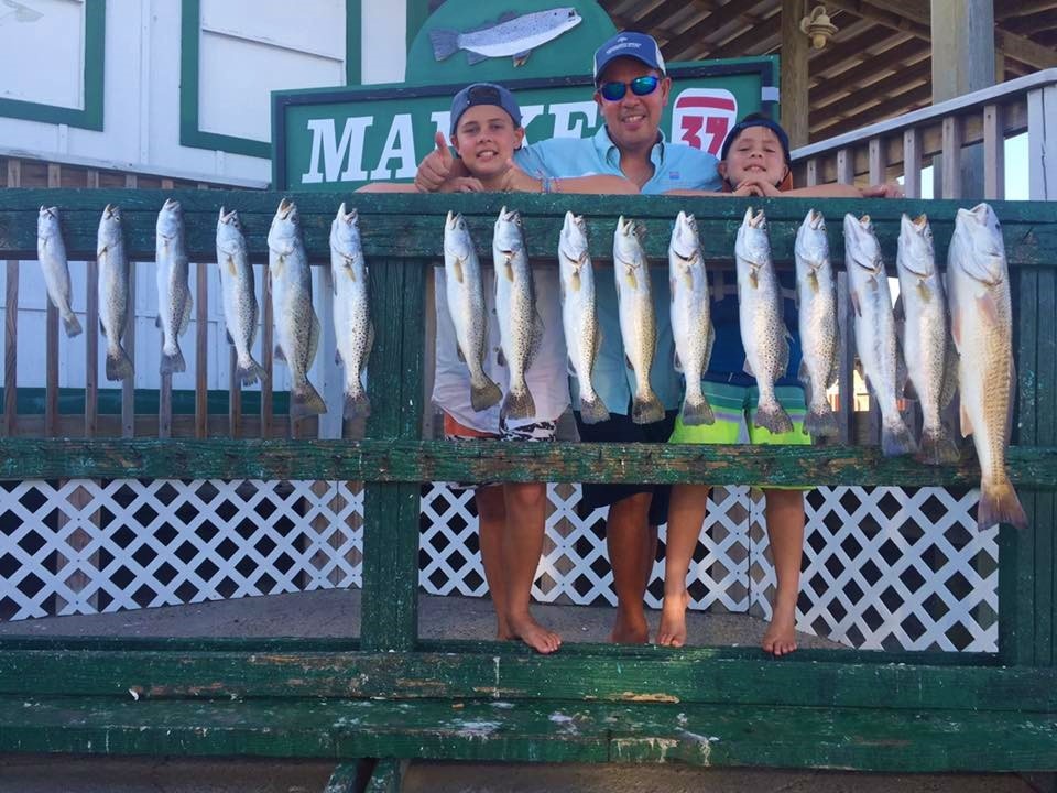 16 pike-perch in a fishing catch from TX
