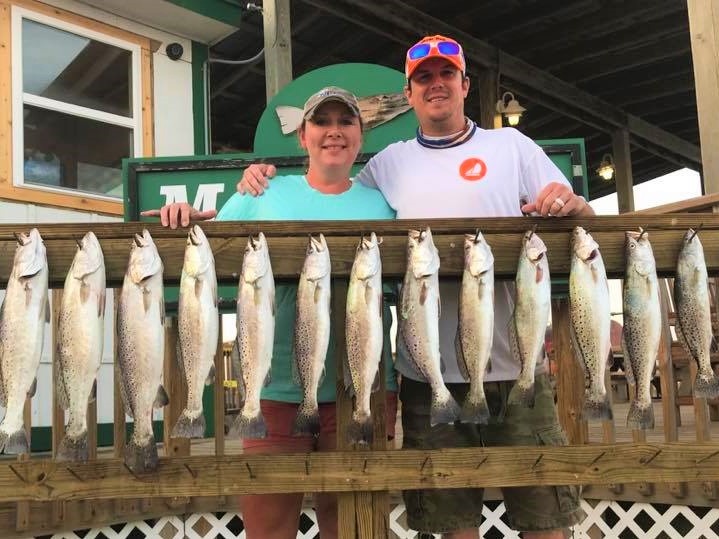8 fish caught during a successful fishing trip in Corpus Christi