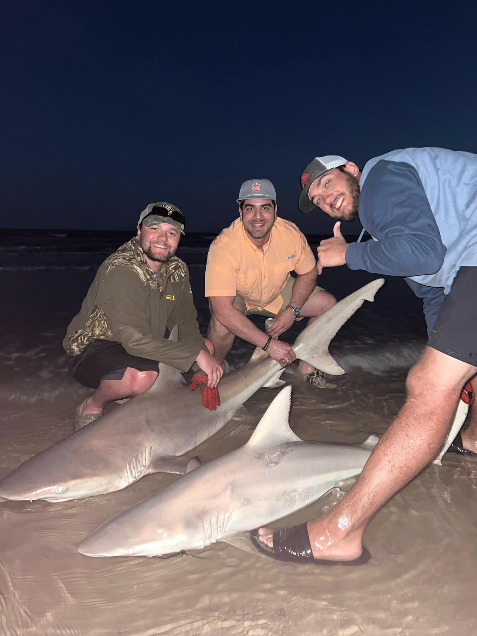 A large bull shark caught by 3 people fishing in TX