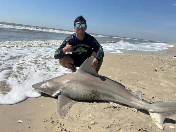 Sandbar Shark caught fishing in Matagorda