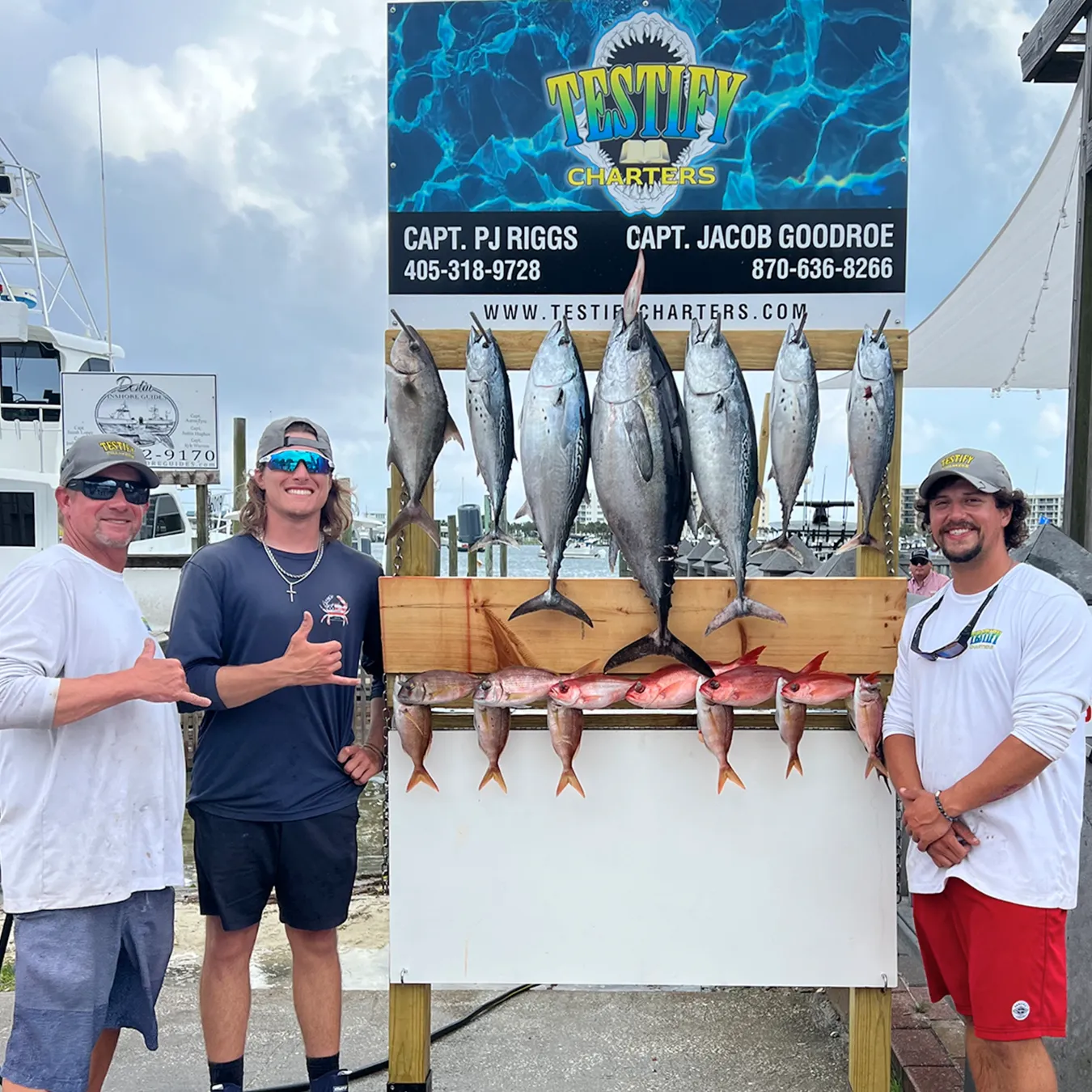 5 longfin yellowtail and little tunny fish caught by 4 people fishing in Destin