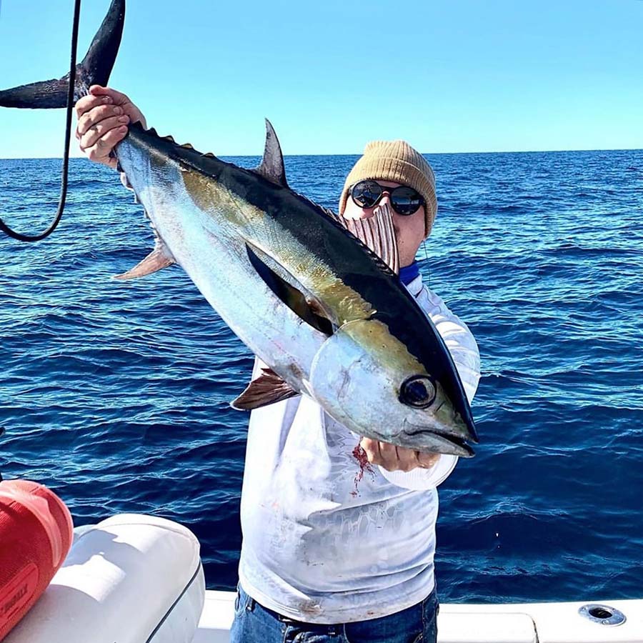 Catching an Atlantic Bonito fish in Destin