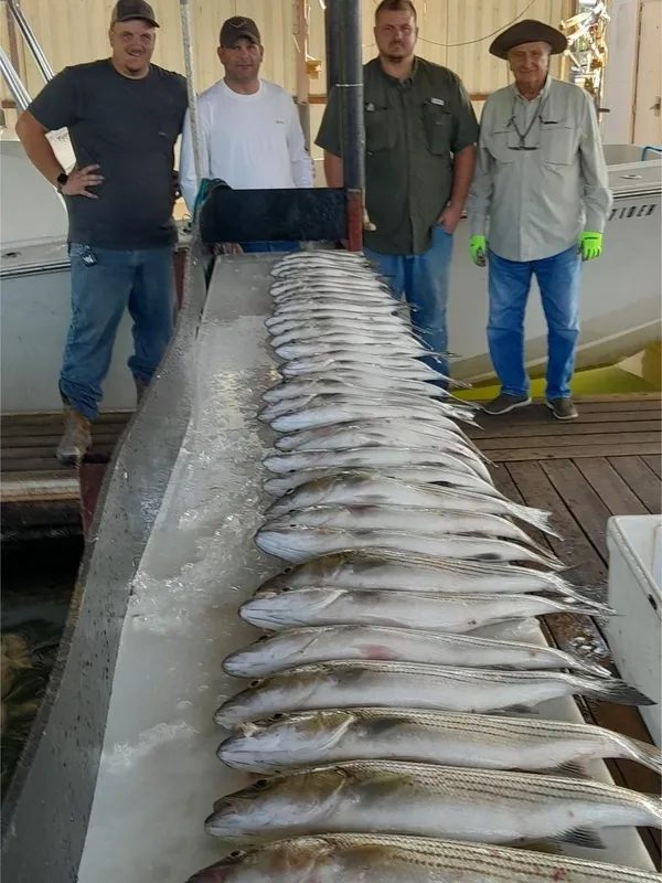 Successful striped bass and bonefish fishing trip display on dock in Kingston OK
