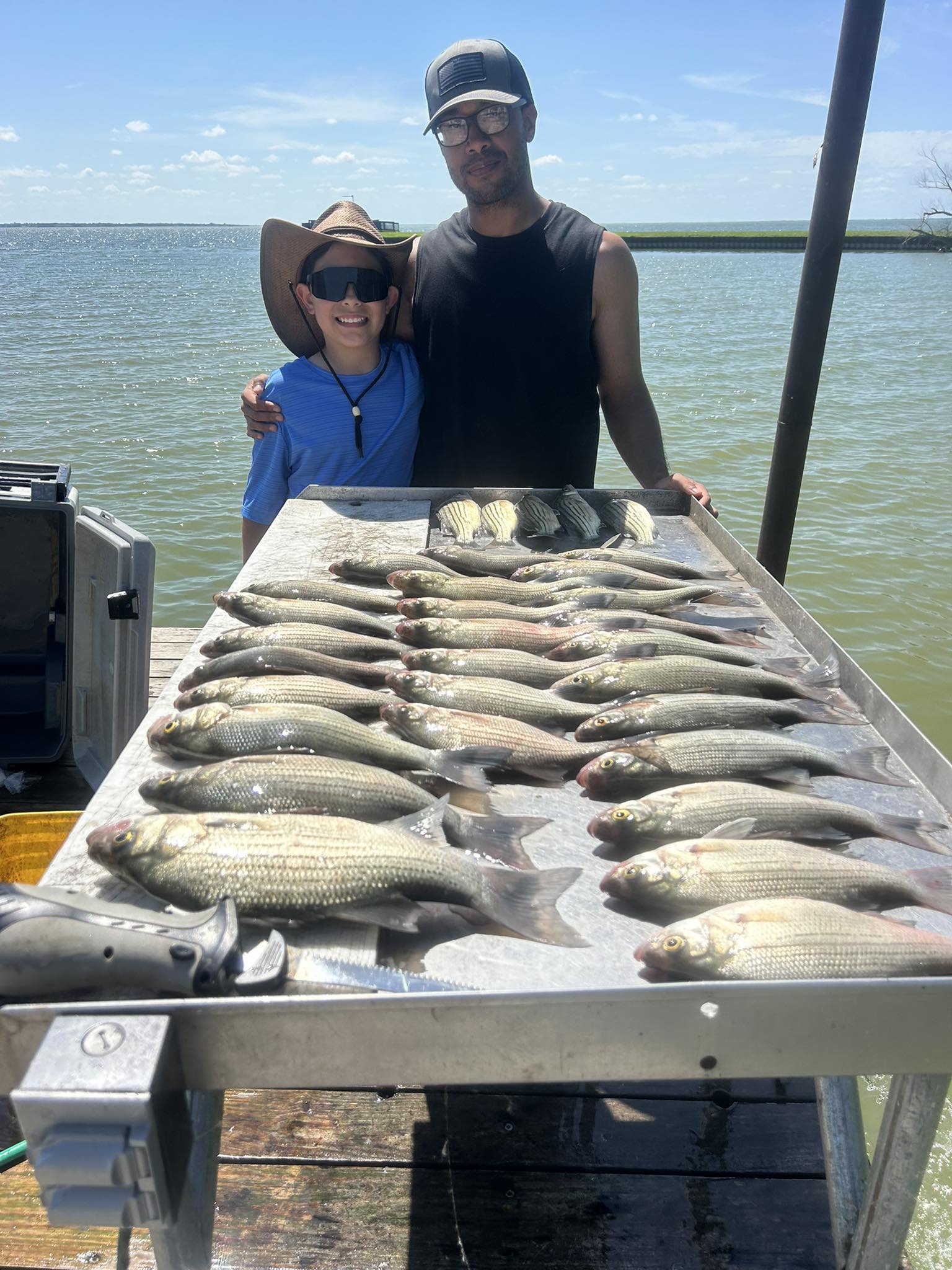 Large catch of white bass displayed on cleaning table after successful fishing trip in Quinlan TX