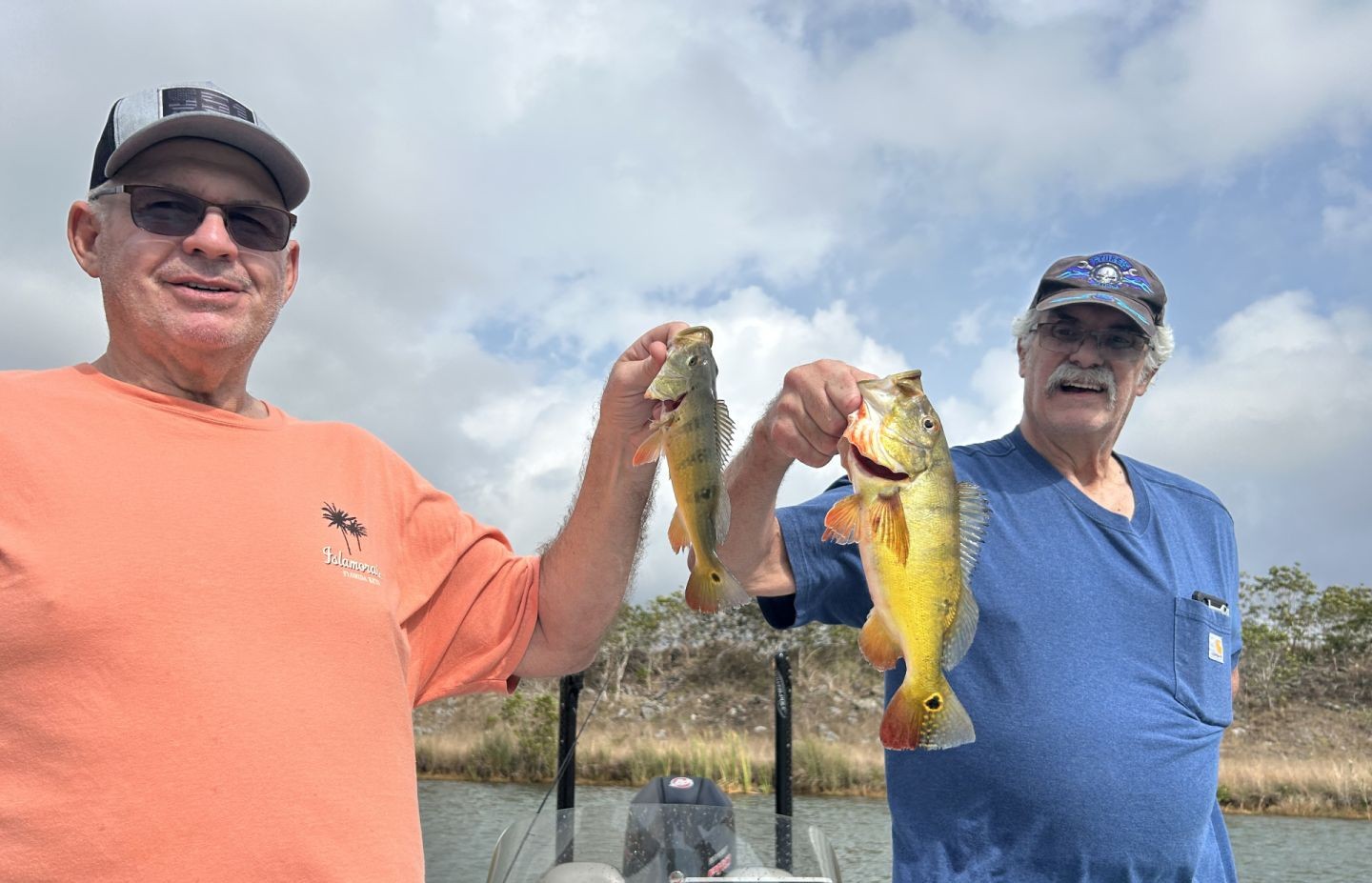 Two freshly caught peacock bass being displayed after successful fishing trip in Palmetto Bay FL