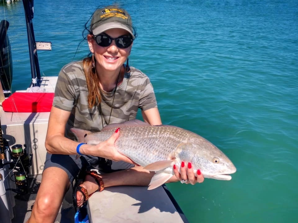 Aewsome Redfish action  Sarasota Bay