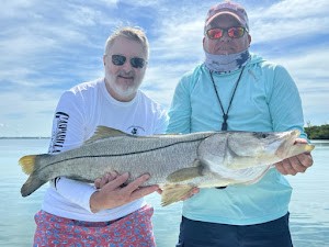 Sarasota Snook Fishing, 2022