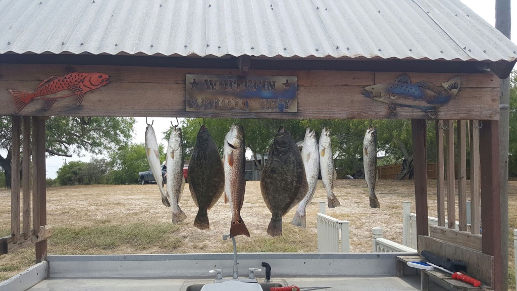 6 fish caught in TX