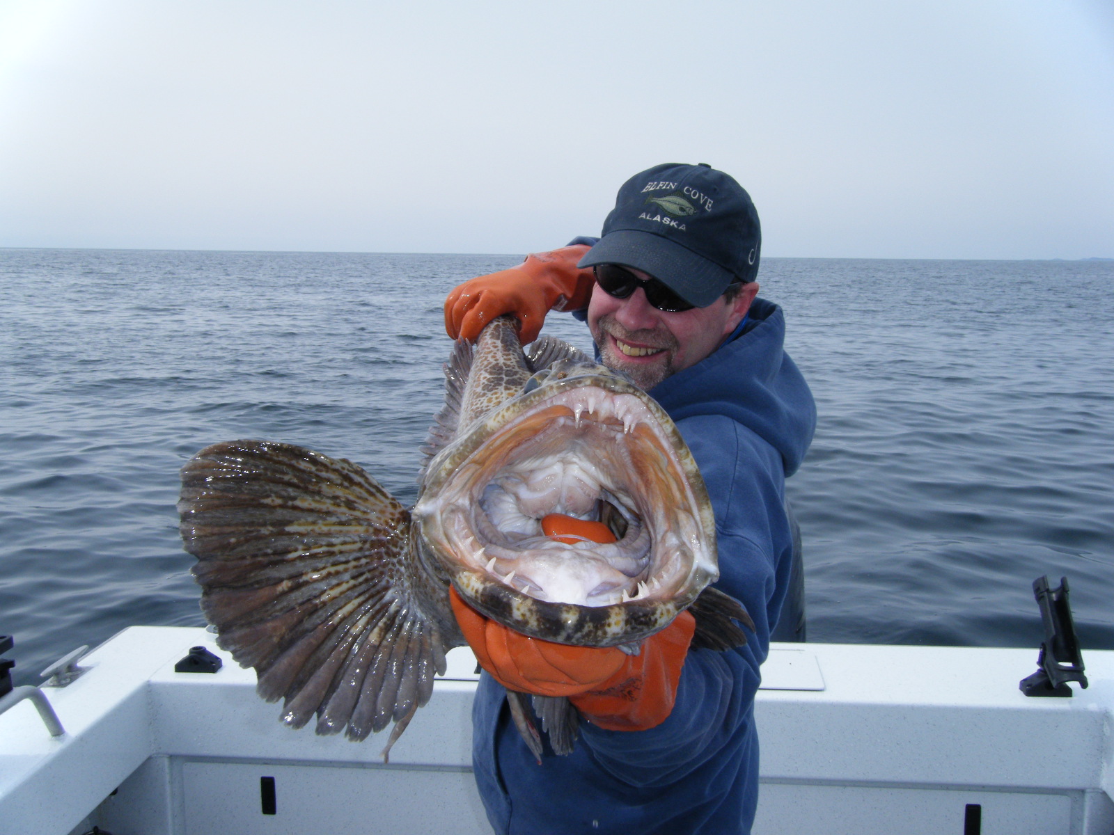 Large fish with open mouth caught during fishing trip in Juneau Alaska