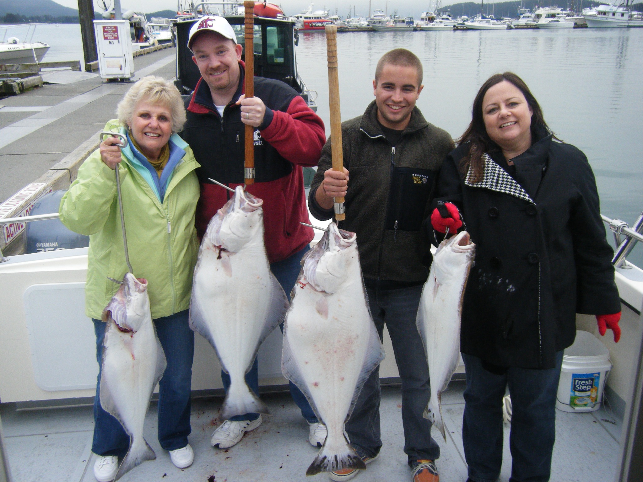 Four large Pacific Halibut caught during fishing trip in Juneau Alaska displayed on boat deck at marina