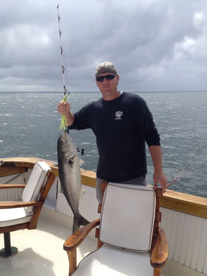 Bluefish caught in MA