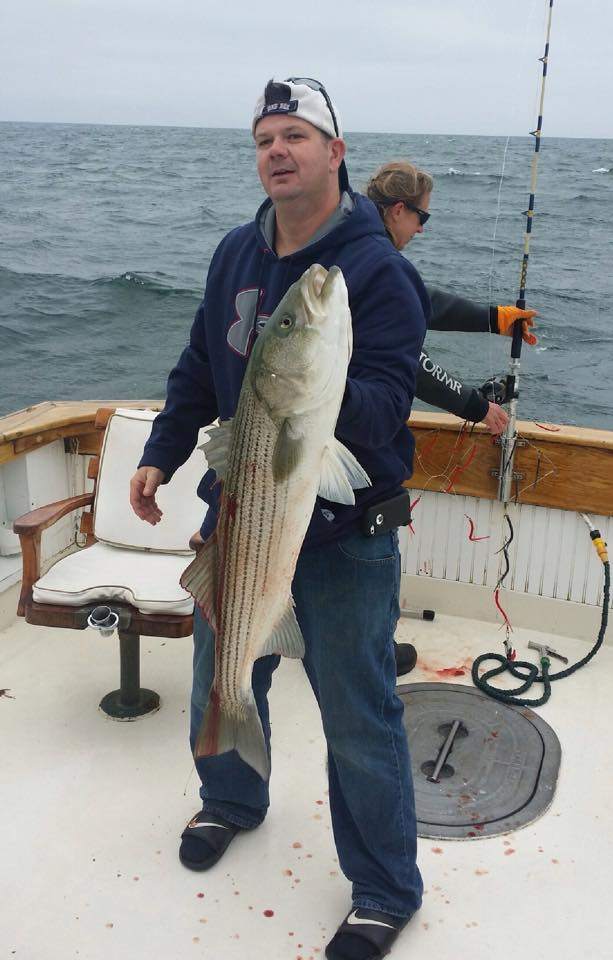 Striped bass caught in MA