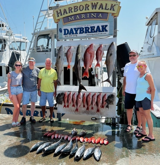 5 fish caught in Destin