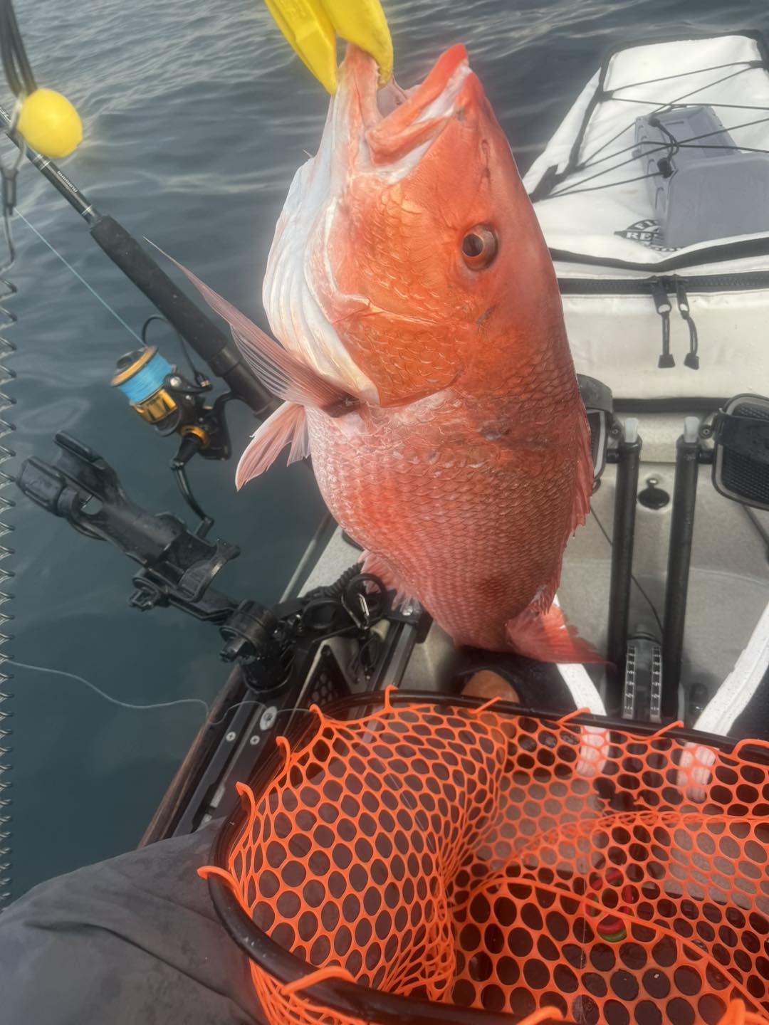 Fishing adventure in AL