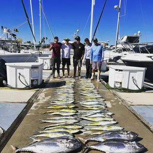 Two fish caught while fishing in San Diego