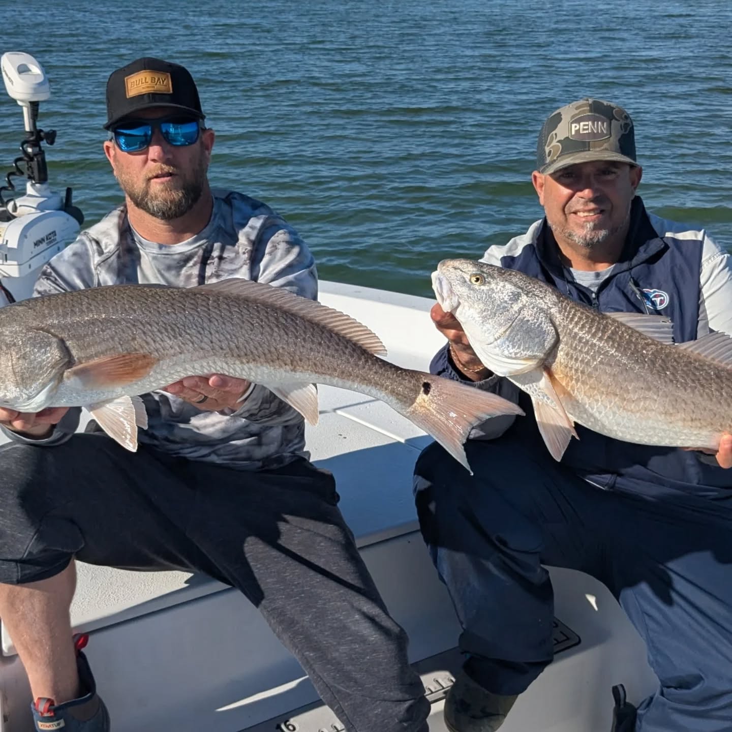 Two redfish and black drum caught during fishing cruises and tours in Tampa