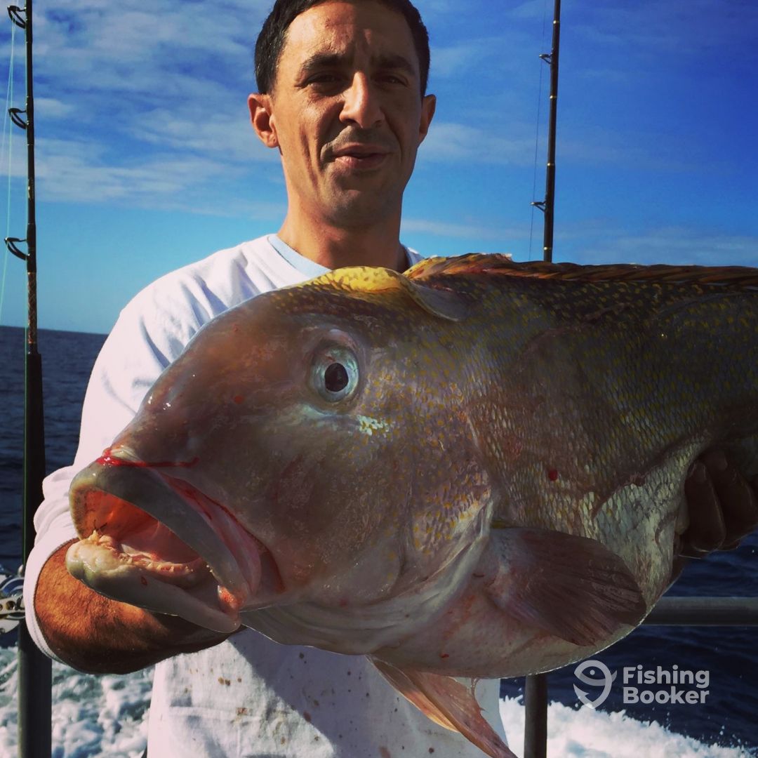 Fisherman reeling in big catch in NJ