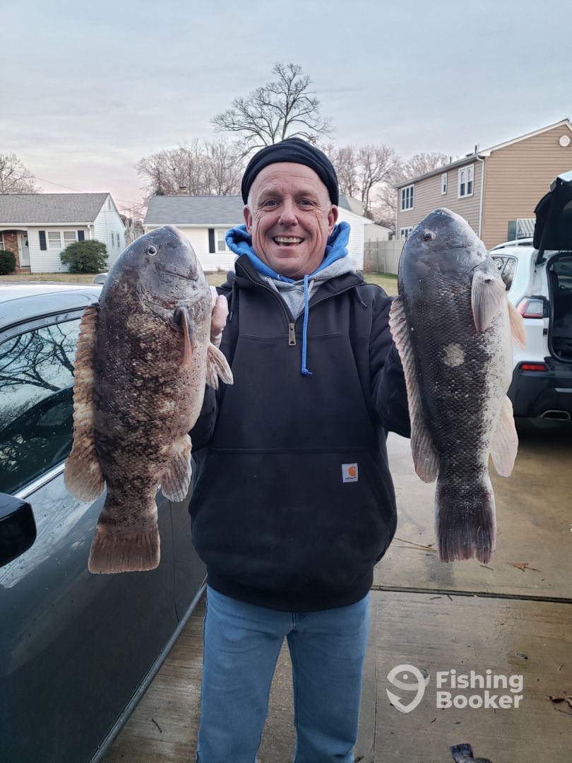 Two tautog fish, fishing in NJ