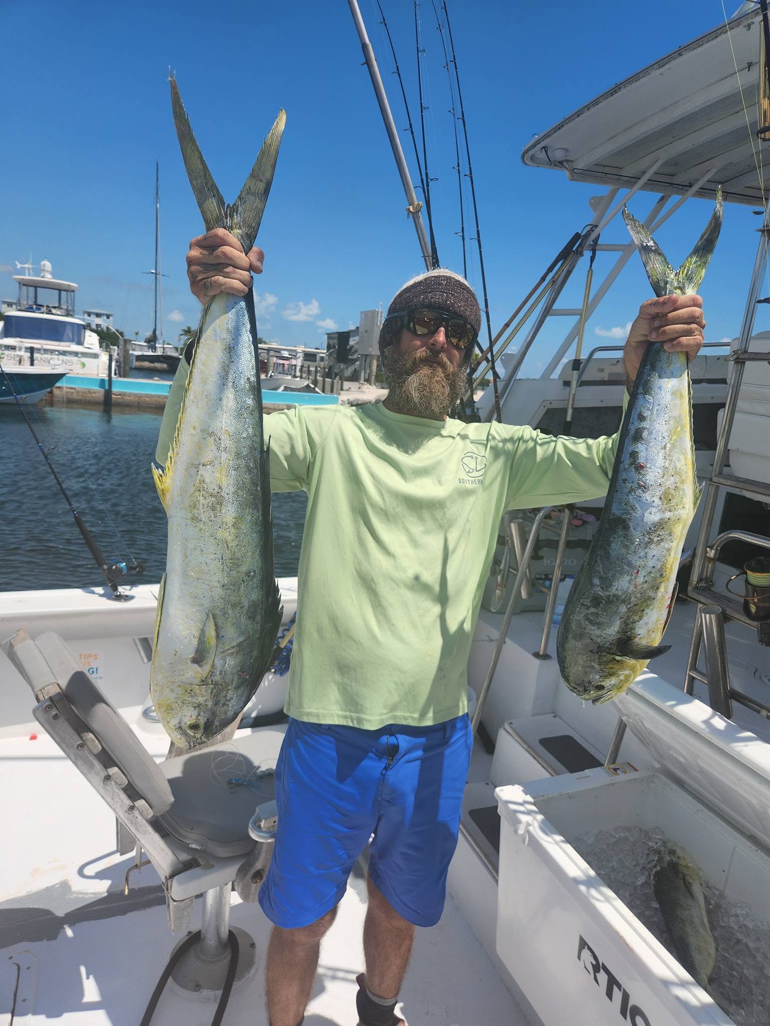 Two large mahi mahi fish caught while fishing in Key Largo FL