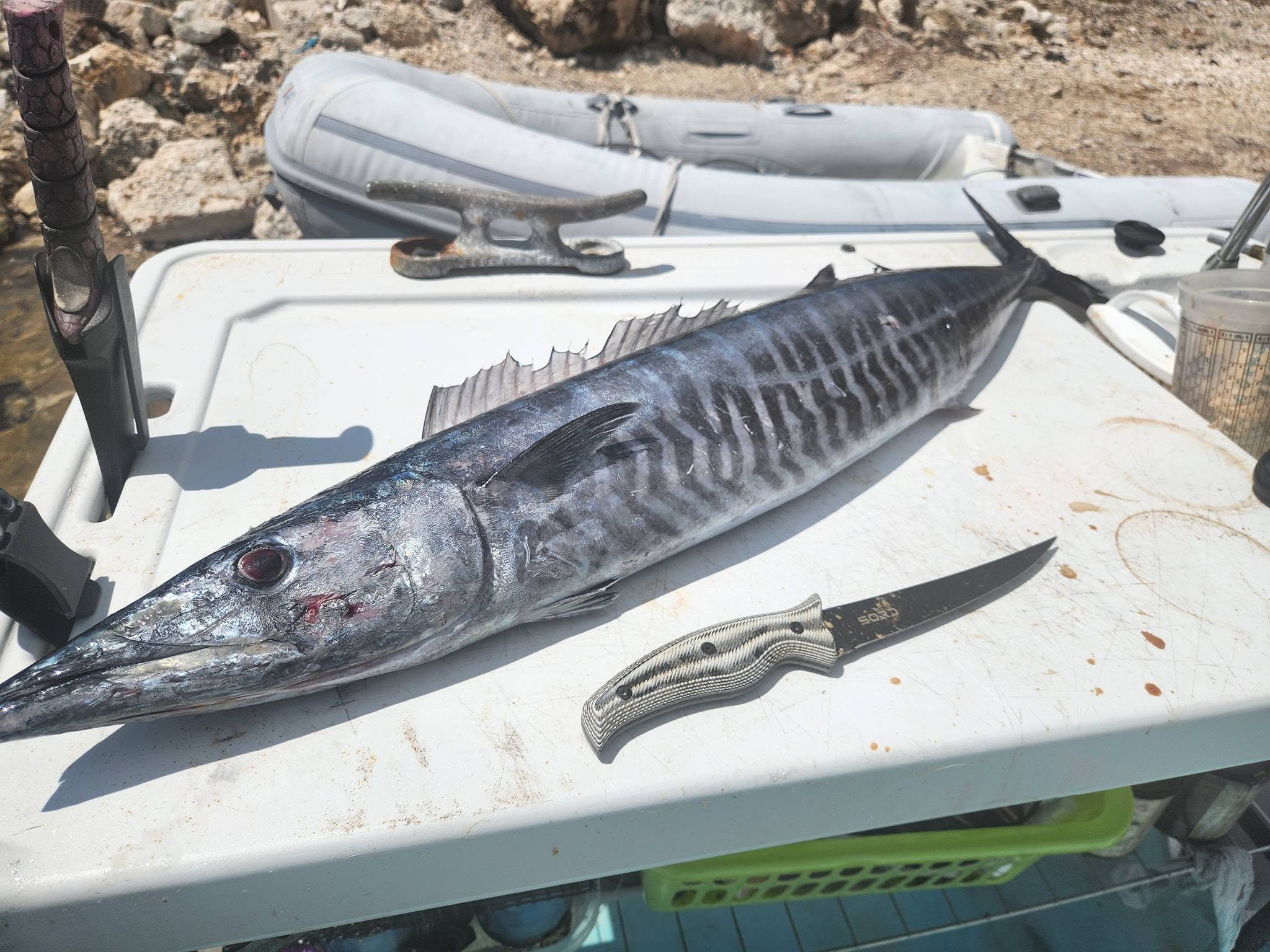 Fresh caught wahoo fish on boat cutting board with fillet knife in Key Largo FL