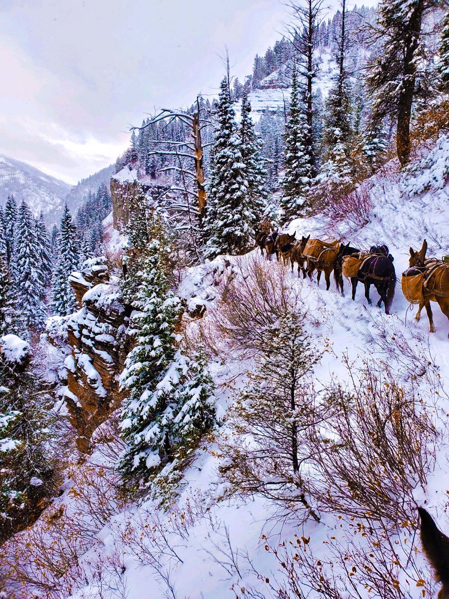 Adventurous hunting in the wilds of ID