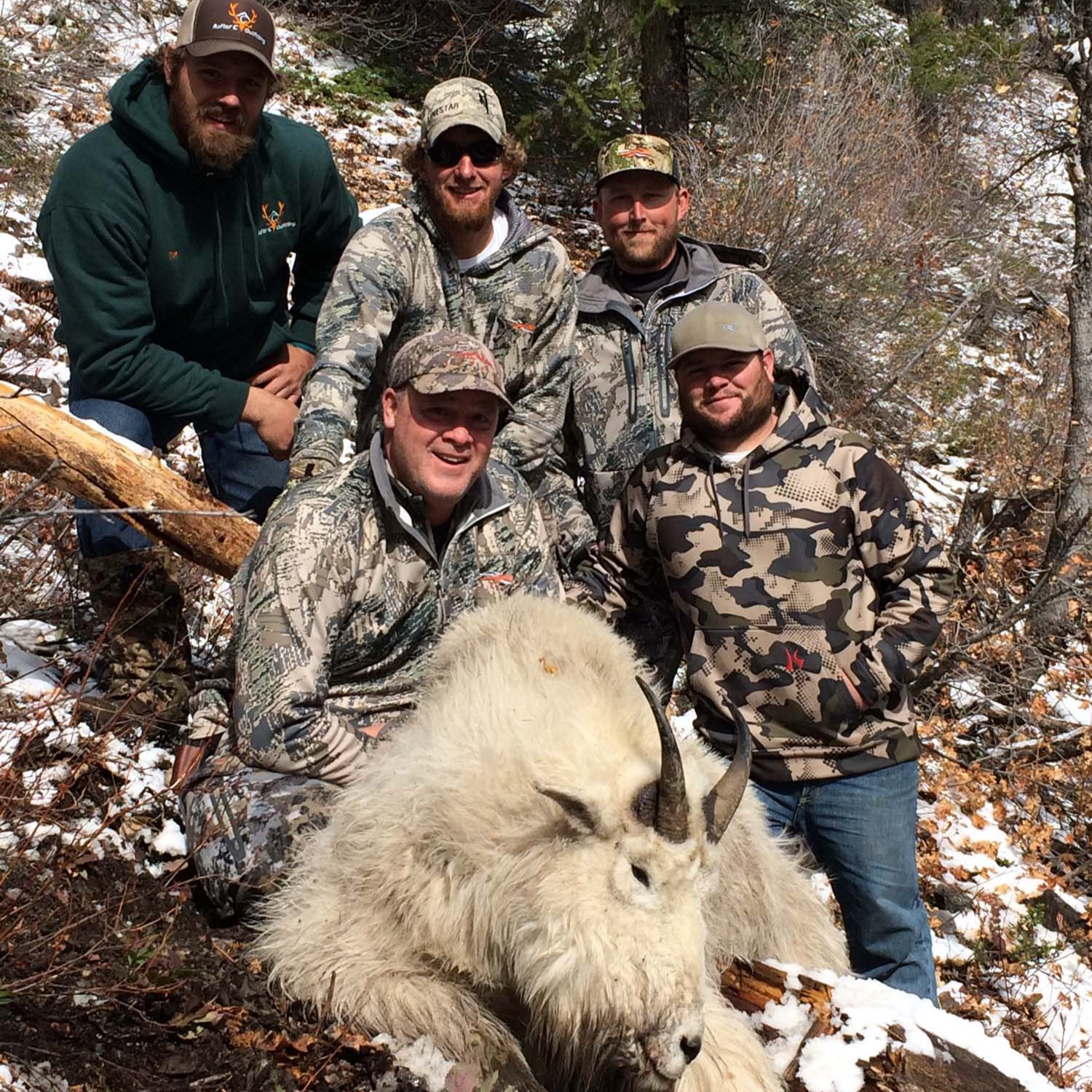 Wyoming mountain goat hunt - guided 10-day archery & rifle hunting in rugged high country