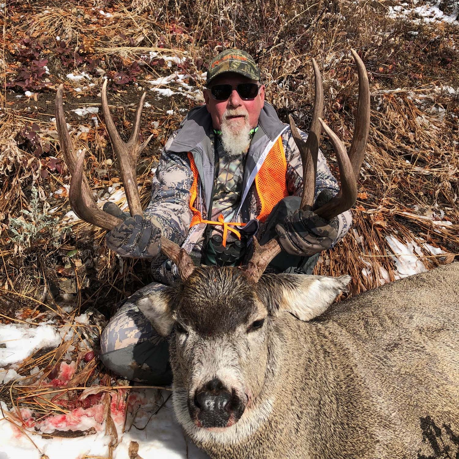 Wyoming mule deer hunting guide with hunters in backcountry terrain during September season