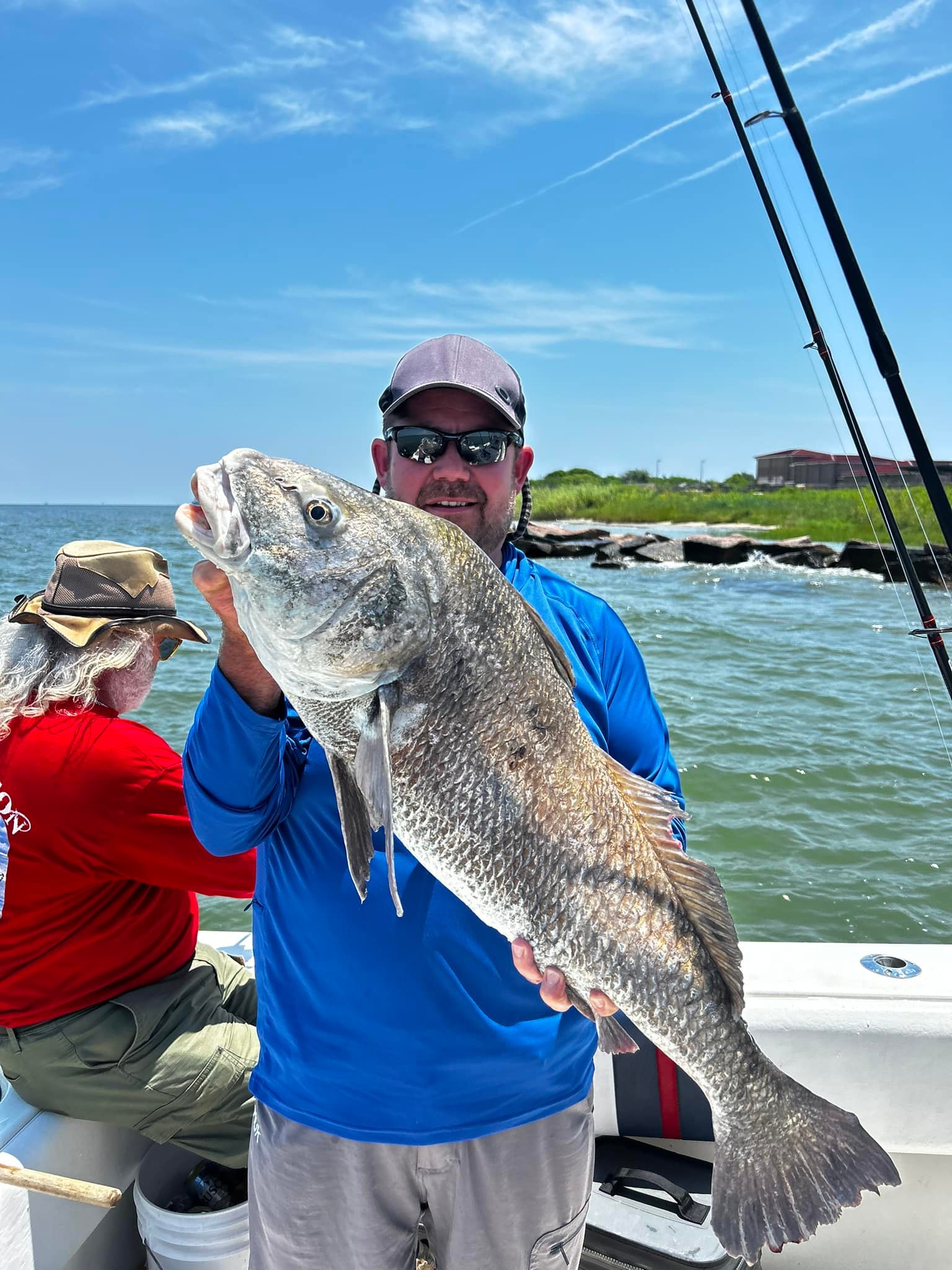 A fisherman holding a large black drum fish in TX