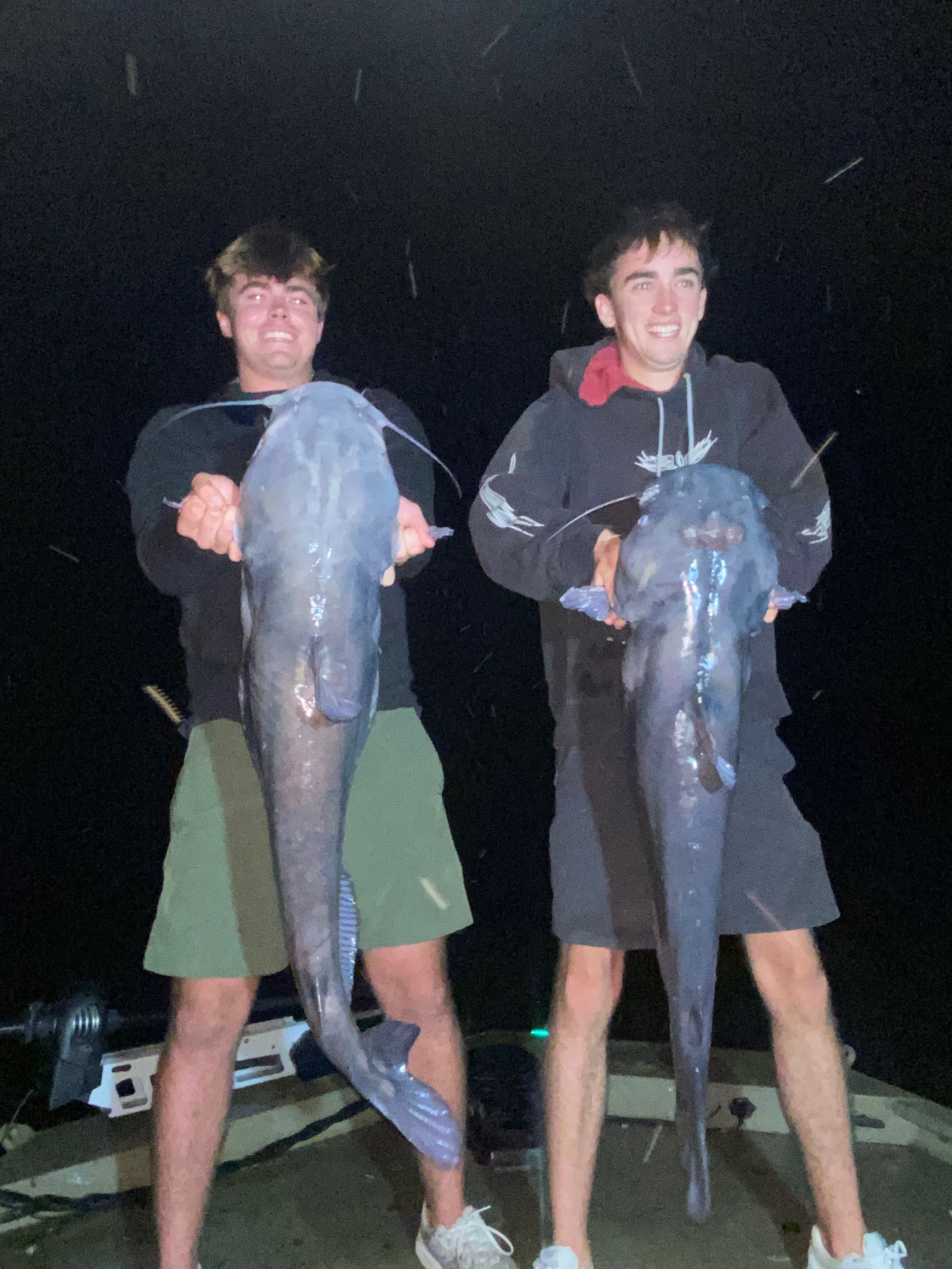 Two large blue catfish caught during night fishing in Cave Spring GA