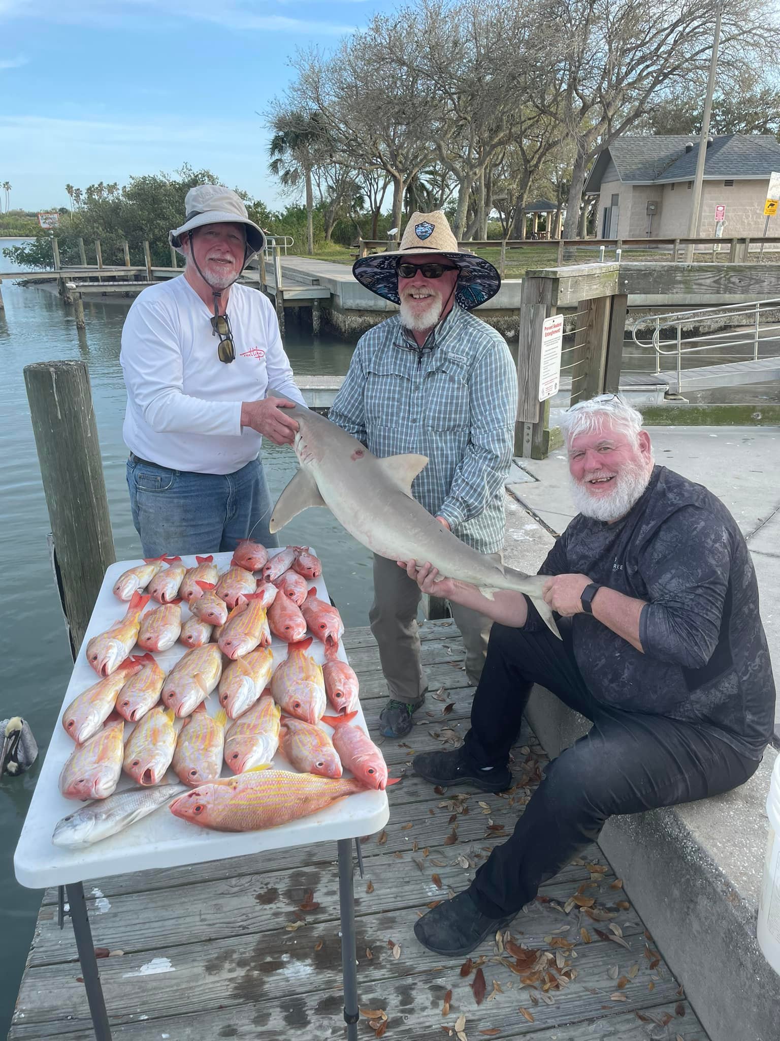 Hardhead Sea Catfish caught while fishing in FL