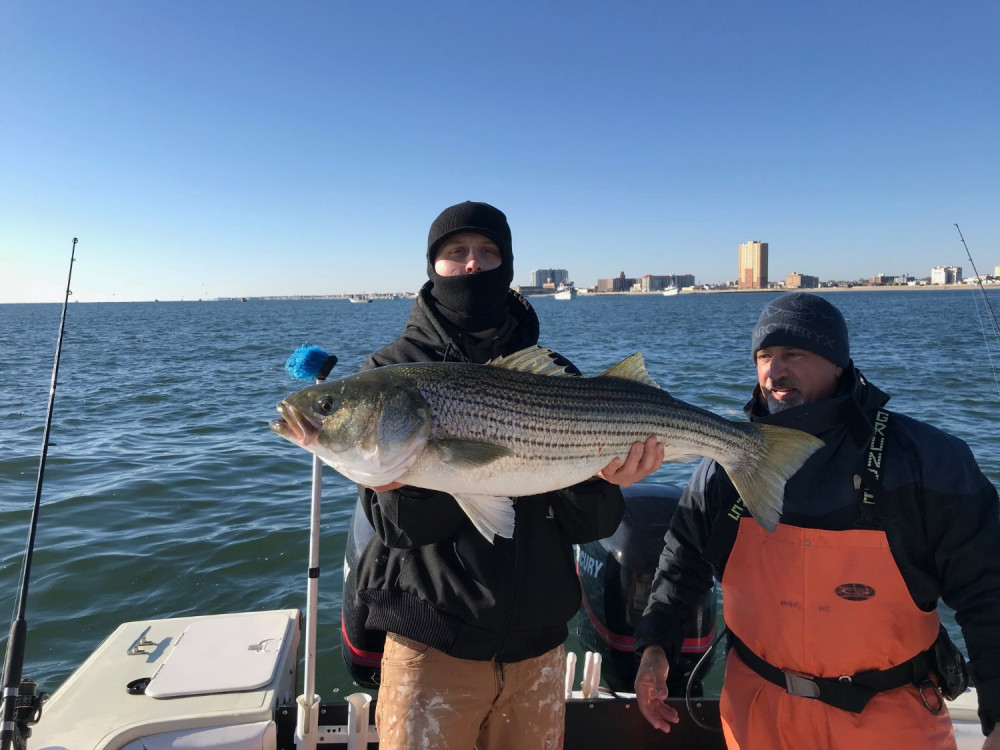 Striped bass caught while fishing in NJ