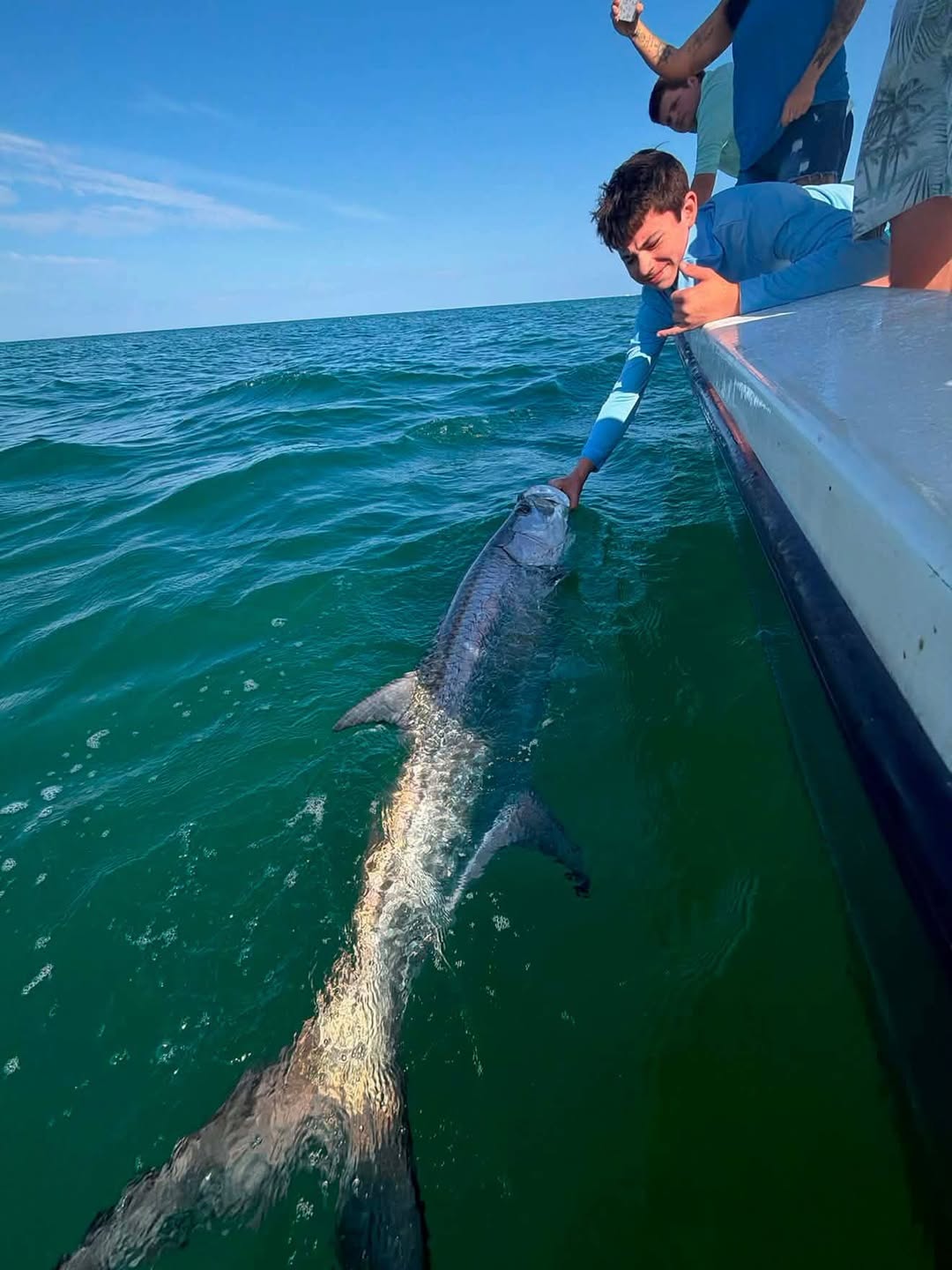 Large tarpon fish swimming alongside fishing boat in green ocean water near Holmes Beach FL