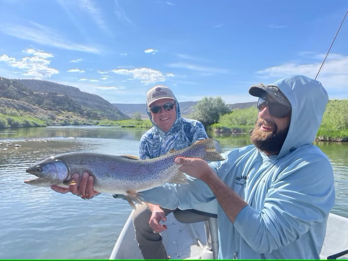 A fisherman holding a large rainbow trout at Navajo Dam
