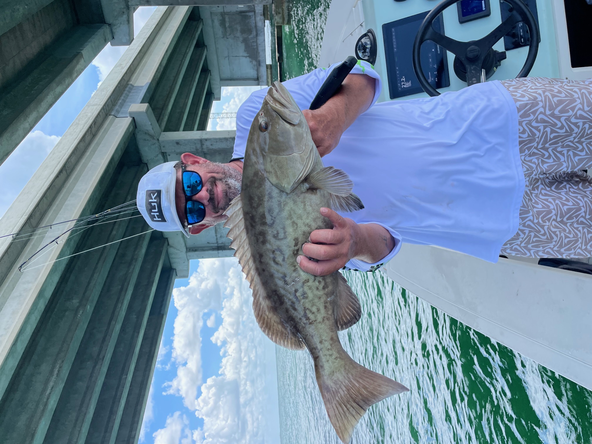 Gag grouper caught during fishing charter in Palmetto FL waters