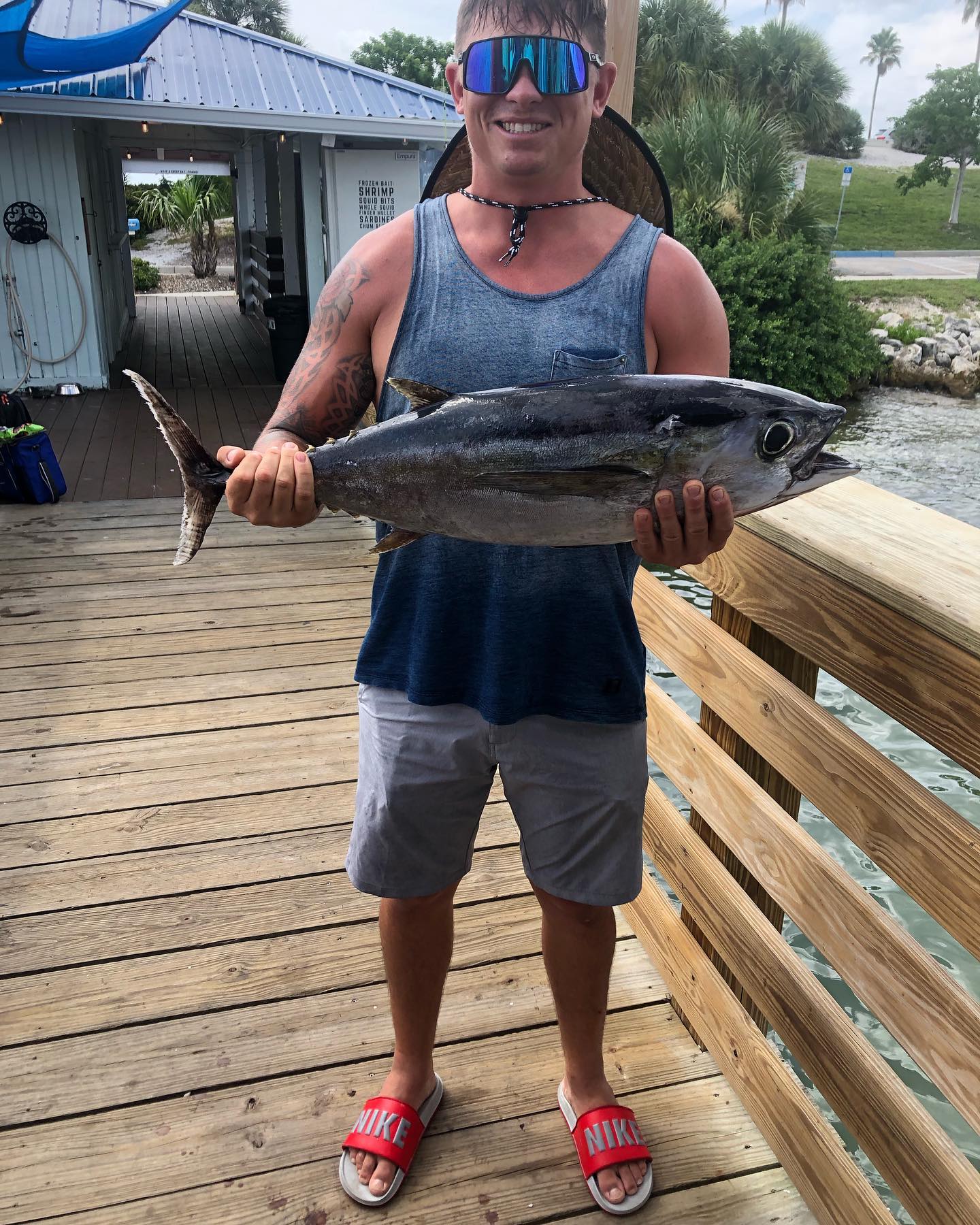 Blackfin tuna, 18 inches, caught while fishing in Sarasota
