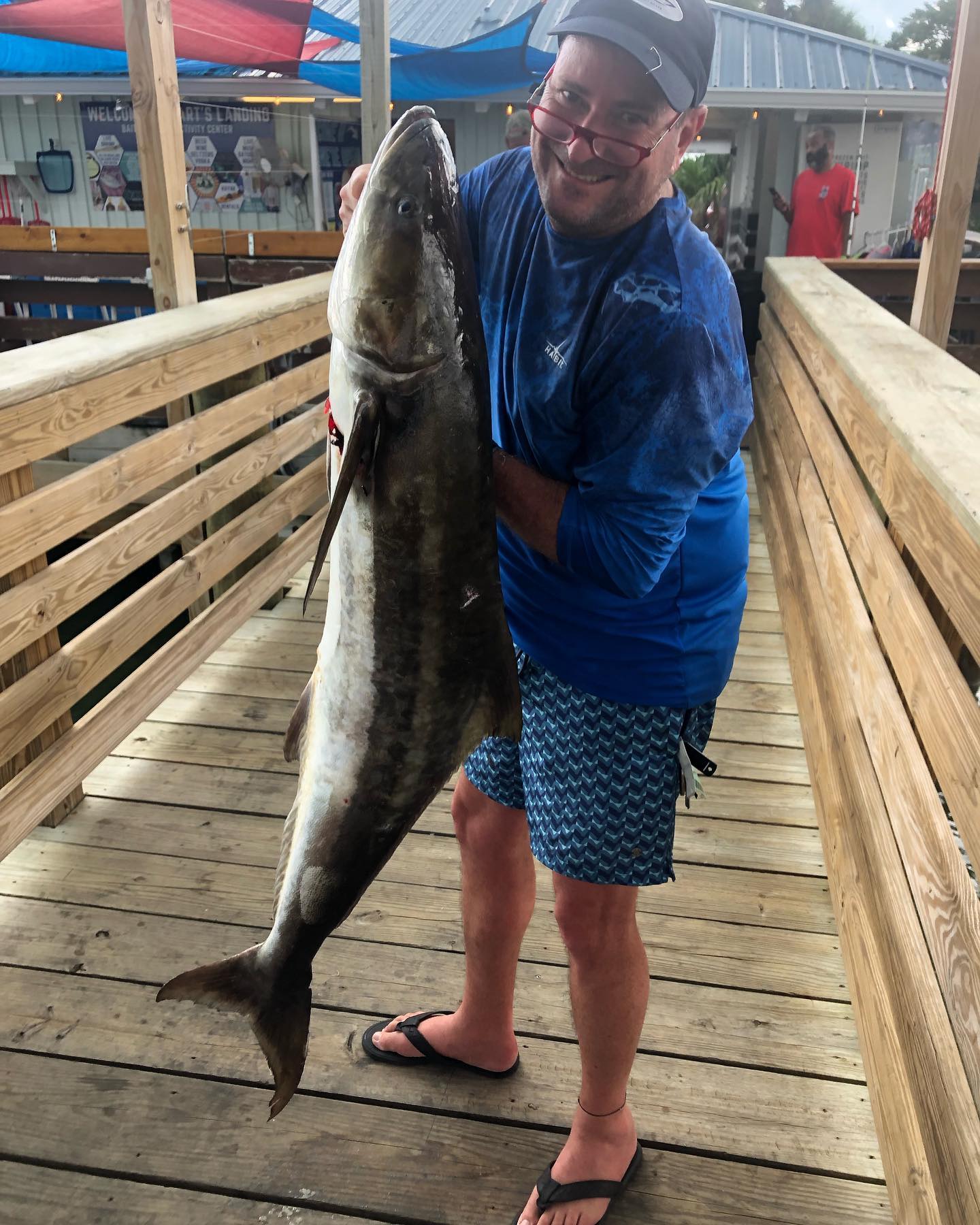 A photo of a 31-inch cobia fish caught while fishing in FL