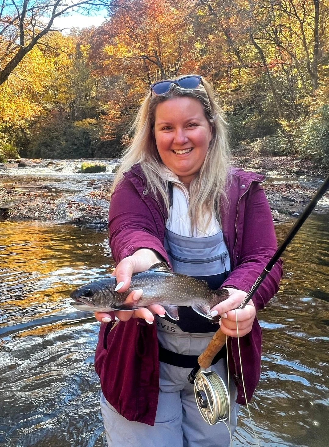 Brook trout caught while fishing in Asheville