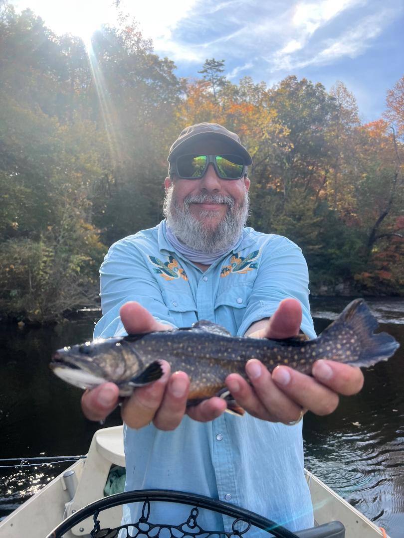 Brook Trout caught in Asheville, fishing