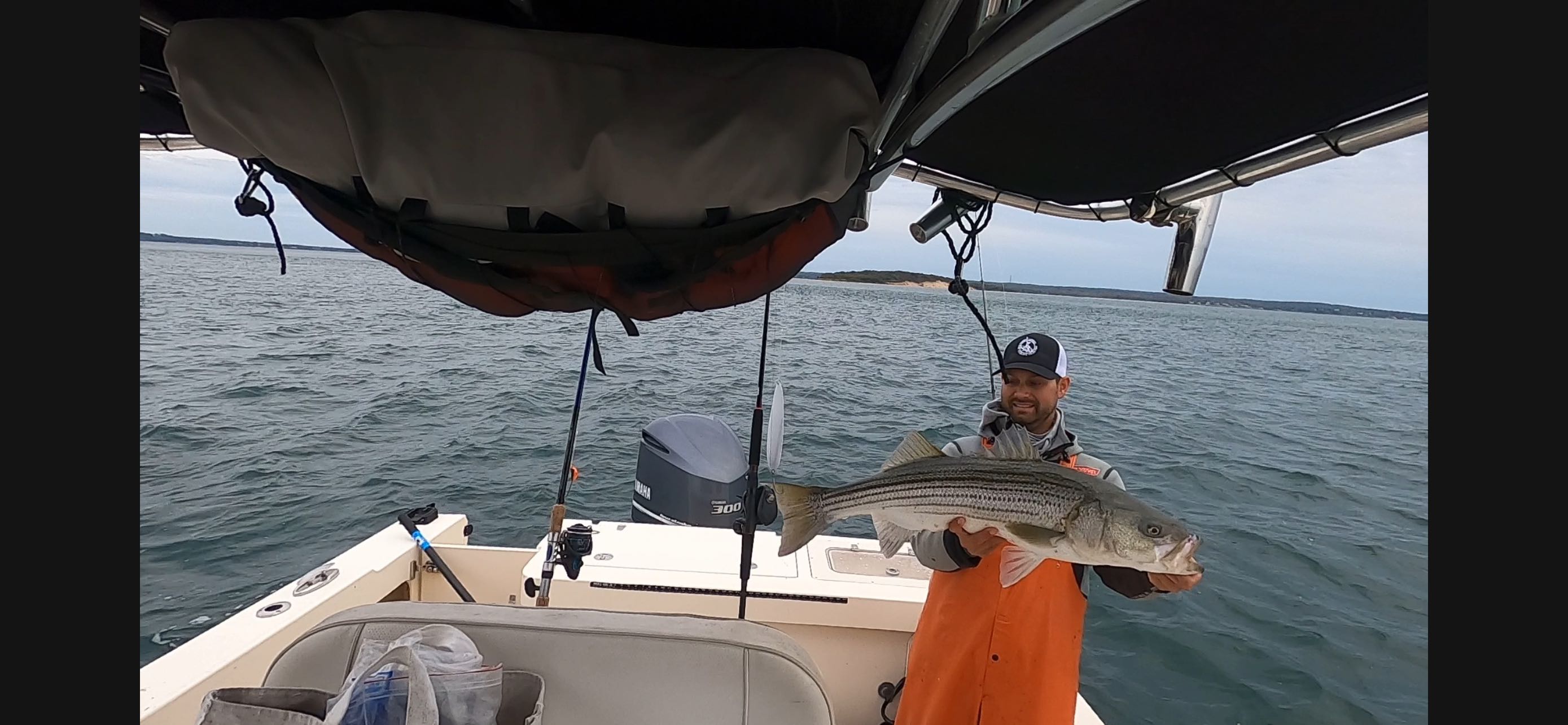 Striped bass caught while fishing in New York